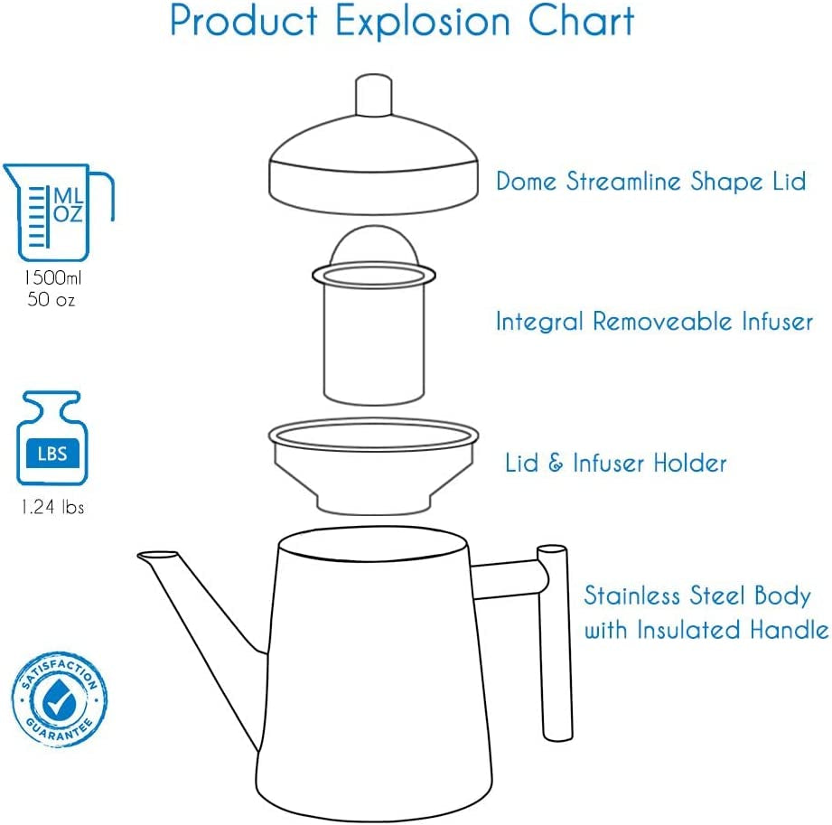 Easyworkz Stainless Steel Teapot with Removeable Infuser 27 Oz Stovetop Tea Maker for Fruit Herbal and Infusion Tea Apparel & Accessories > Jewelry > Bracelets Easyworkz   