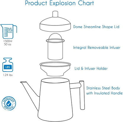 Easyworkz Stainless Steel Teapot with Removeable Infuser 27 Oz Stovetop Tea Maker for Fruit Herbal and Infusion Tea Apparel & Accessories > Jewelry > Bracelets Easyworkz   