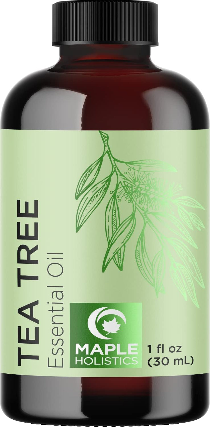 Pure Rosemary Oil for Hair Care - Volumizing Aromatherapy Rosemary Essential Oil for Diffuser plus Hair Skin and Nail Care - Nourishing Rosemary Hair Oil for Enhanced Shine and Dry Scalp Care 2Oz Health & Beauty > Personal Care > Hair Care Maple Holistics Tea Tree 1 Fl Oz (Pack of 1) 