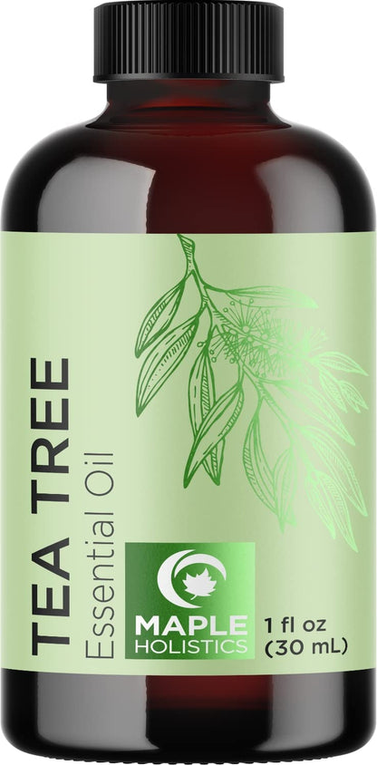 Pure Rosemary Oil for Hair Care - Volumizing Aromatherapy Rosemary Essential Oil for Diffuser plus Hair Skin and Nail Care - Nourishing Rosemary Hair Oil for Enhanced Shine and Dry Scalp Care 2Oz Health & Beauty > Personal Care > Hair Care Maple Holistics Tea Tree 1 Fl Oz (Pack of 1) 