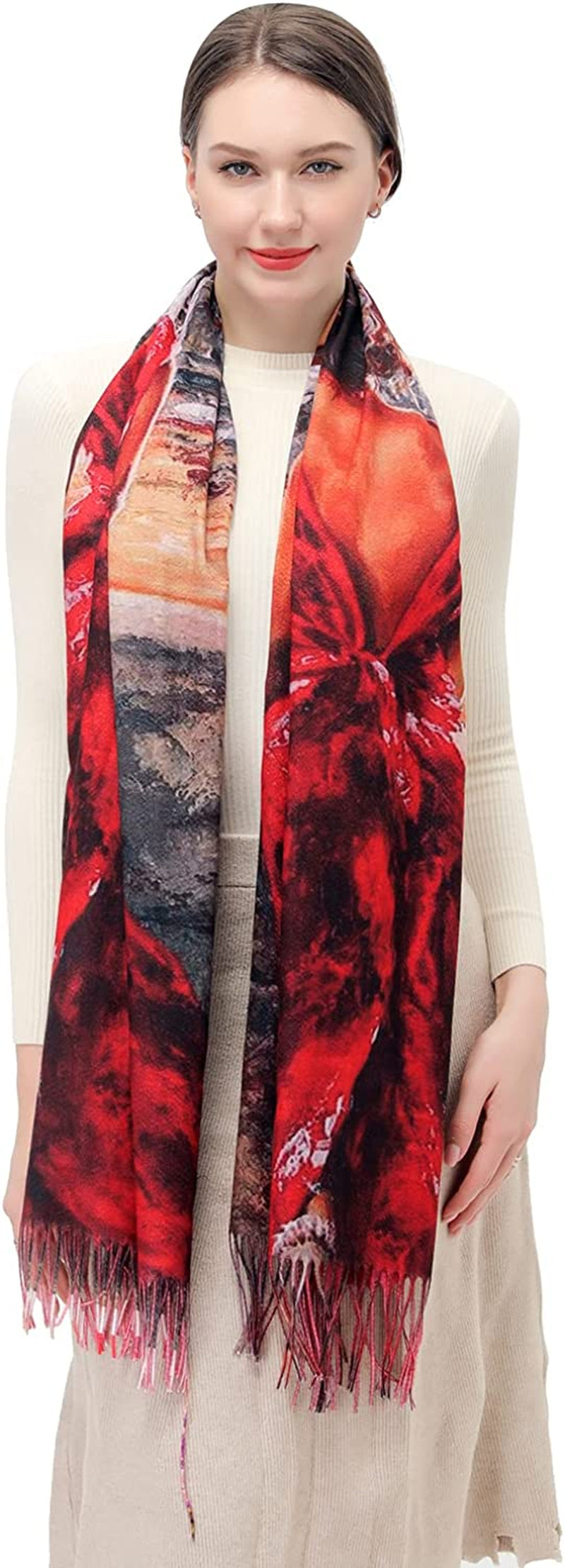 Women'S Fashion Scarf with Art Printed Tassel Soft Cashmere Warm Large Blanket Wrap Shawl for Gift Apparel & Accessories > Clothing Accessories > Scarves & Shawls XYBJ No15  