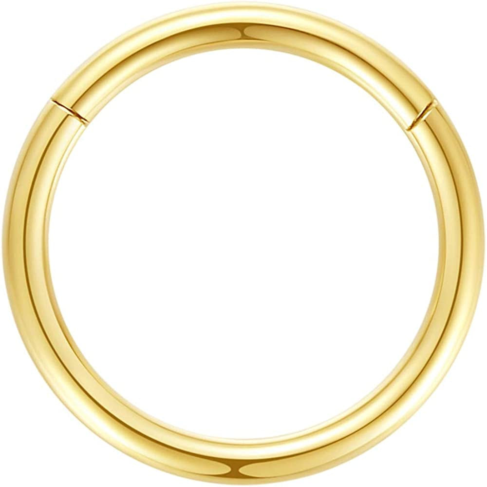 ORANGELOVE Hypoallergenic Nose Rings 20G 18G 16G 14G 12G 10G 8G 316L Surgical Steel Septum Jewelry Hinged Segment Ring Body Piercing Nose Hoop Lip Rings Nose Helix Cartilage Rook Earrings Apparel & Accessories > Jewelry > Rings ORANGELOVE 1pc 8g 16mm Gold  