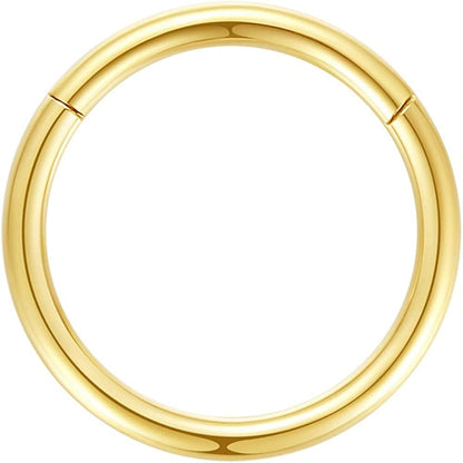 ORANGELOVE Hypoallergenic Nose Rings 20G 18G 16G 14G 12G 10G 8G 316L Surgical Steel Septum Jewelry Hinged Segment Ring Body Piercing Nose Hoop Lip Rings Nose Helix Cartilage Rook Earrings Apparel & Accessories > Jewelry > Rings ORANGELOVE 1pc 8g 16mm Gold  