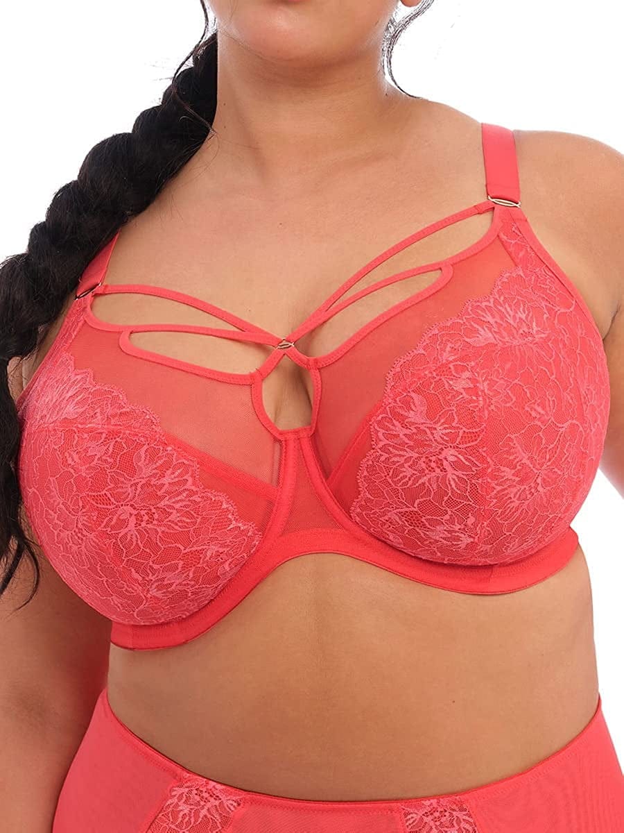 Elomi Women'S plus Size Brianna Strappy Underwire Plunge Bra Cayenne / 36JJ