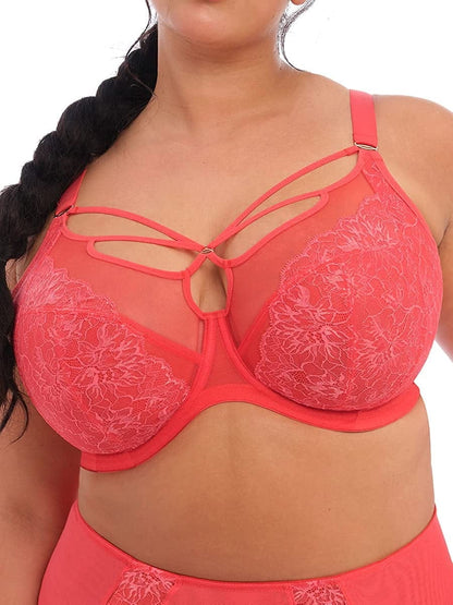 Elomi Women'S plus Size Brianna Strappy Underwire Plunge Bra Cayenne / 36JJ