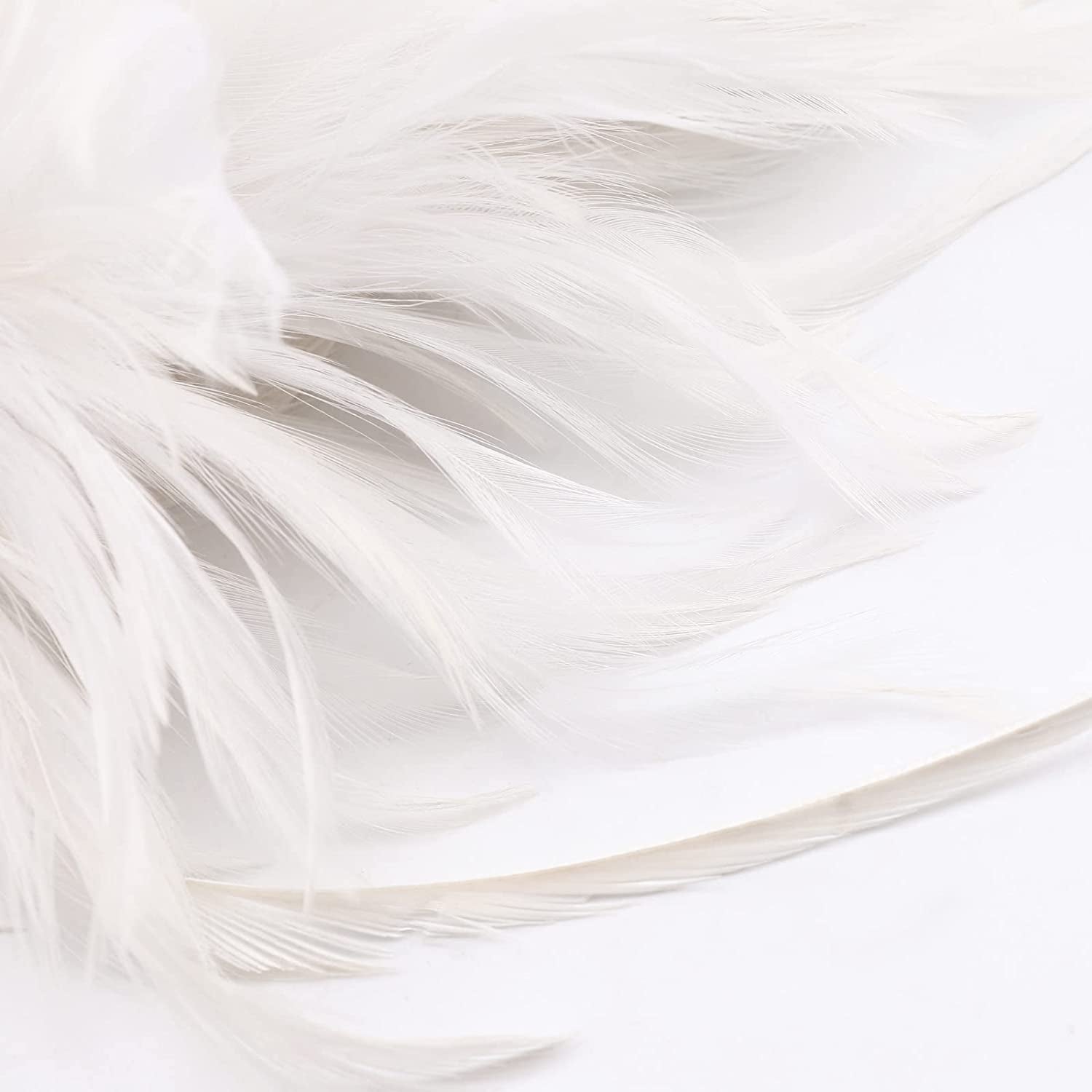 DRESHOW 1920S Fascinator Feather Headband for Women Cocktail Tea Party Headwear Flapper Gatsby Headpiece Apparel & Accessories > Clothing Accessories > Headwear DRESHOW   