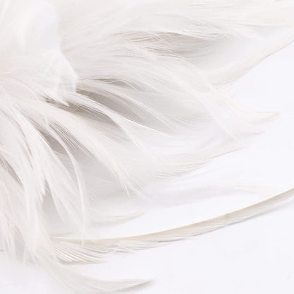 DRESHOW 1920S Fascinator Feather Headband for Women Cocktail Tea Party Headwear Flapper Gatsby Headpiece Apparel & Accessories > Clothing Accessories > Headwear DRESHOW   