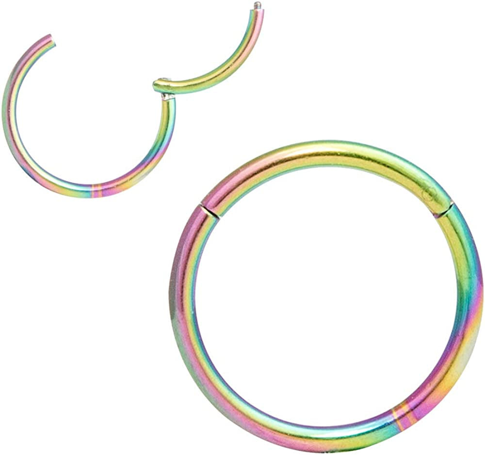 ORANGELOVE Hypoallergenic Nose Rings 20G 18G 16G 14G 12G 10G 8G 316L Surgical Steel Septum Jewelry Hinged Segment Ring Body Piercing Nose Hoop Lip Rings Nose Helix Cartilage Rook Earrings Apparel & Accessories > Jewelry > Rings ORANGELOVE 1pc 16g 10mm Rainbow  