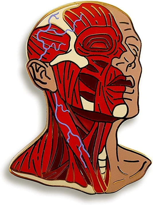 Head Anatomy Enamel Lapel Pin