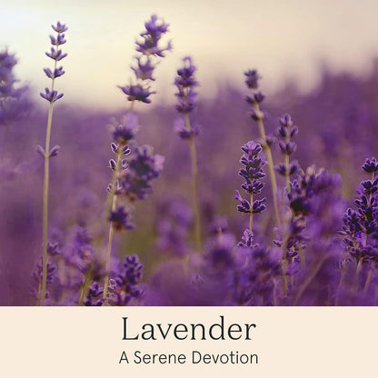 LA JOLIE MUSE Lavender Scented Candle - 14.1 Oz Large Candles Gifts for Women, 2 Wicks Aromatherapy Candle for Home, Relaxing Stress Relief Candles, Long Burning Time