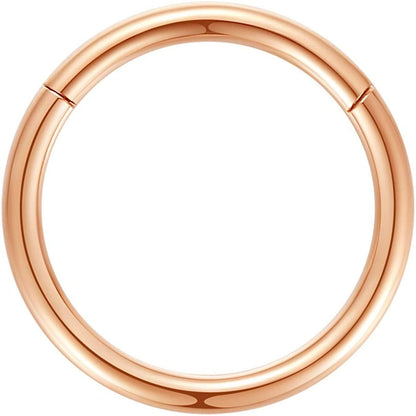 ORANGELOVE Hypoallergenic Nose Rings 20G 18G 16G 14G 12G 10G 8G 316L Surgical Steel Septum Jewelry Hinged Segment Ring Body Piercing Nose Hoop Lip Rings Nose Helix Cartilage Rook Earrings Apparel & Accessories > Jewelry > Rings ORANGELOVE 1pc 12g 14mm Rose Gold  
