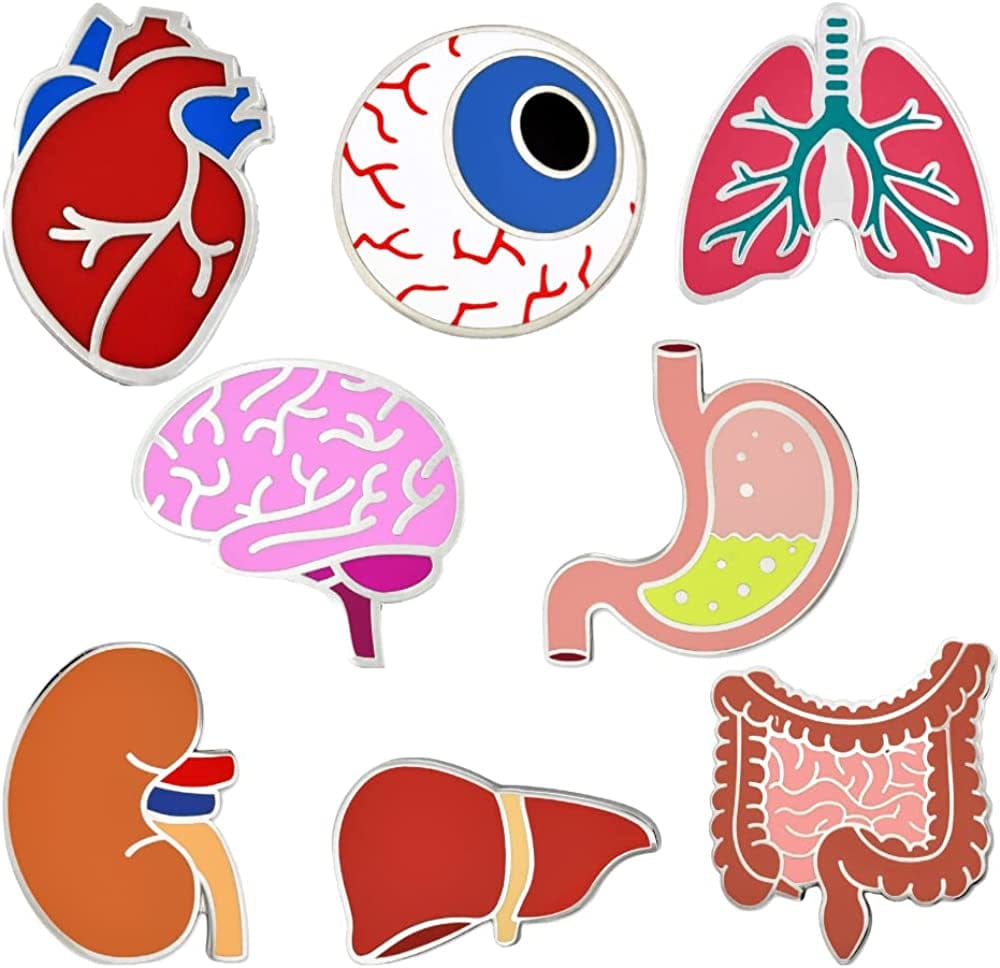 Pinmart the Human Medical Enamel Lapel Pin Set of 8 Pins / 8pc Pin Set