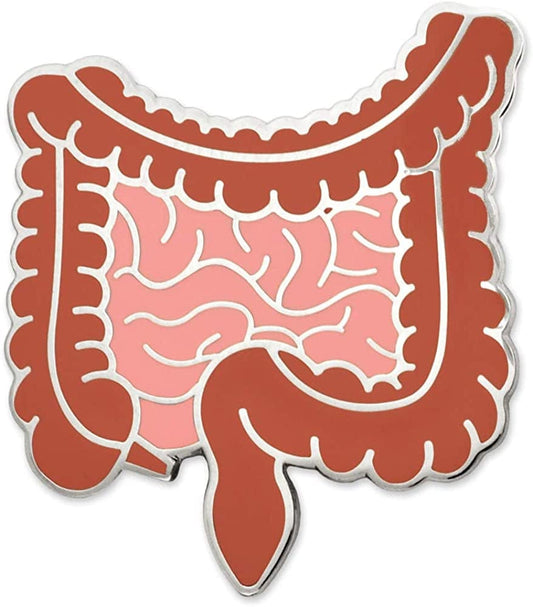 Pinmart the Human Medical Enamel Lapel Pin Intestines / 1 Piece