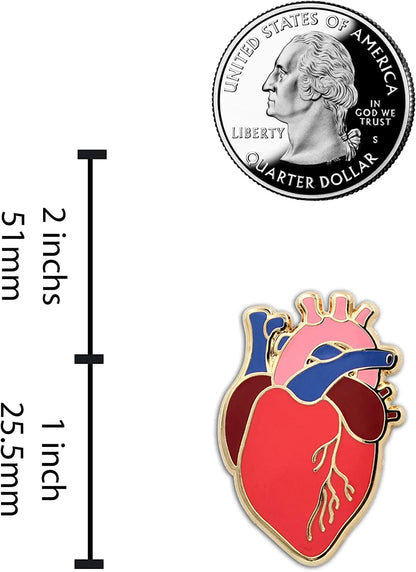 REAL SIC Anatomical Heart Pin - Realistic, Scientific Heart Enamel Pin - Lapel Pin for Valentine'S Day, Medical Pinning Ceremony on Backpacks, Hats, Bags, Jackets & Tops