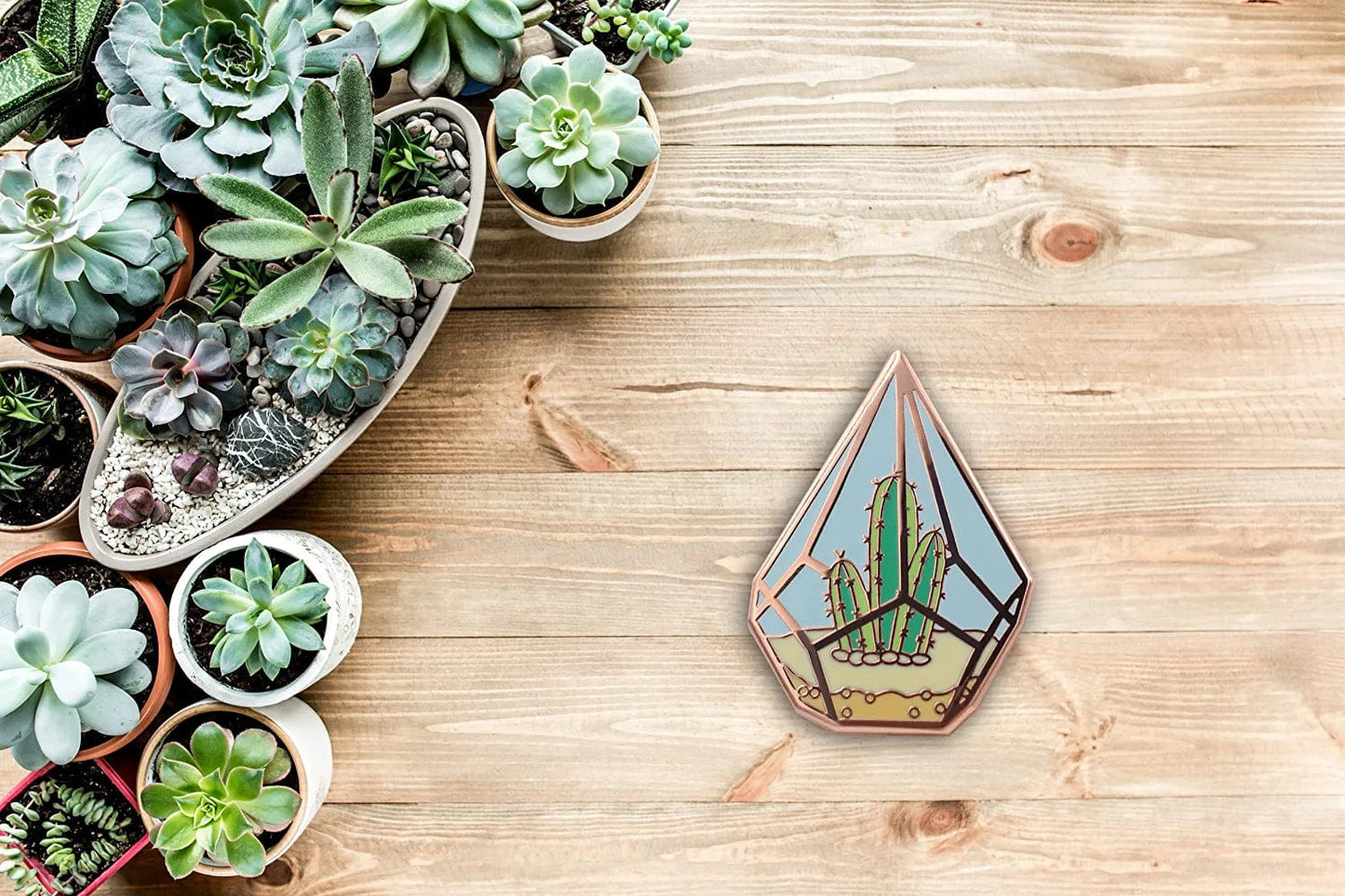 REAL SIC Cactus Enamel Pin - Cute Cactus in Geometric Terrarium Lapel Pin - a Succulent Garden for Backpacks, Jackets, Hats & Tops