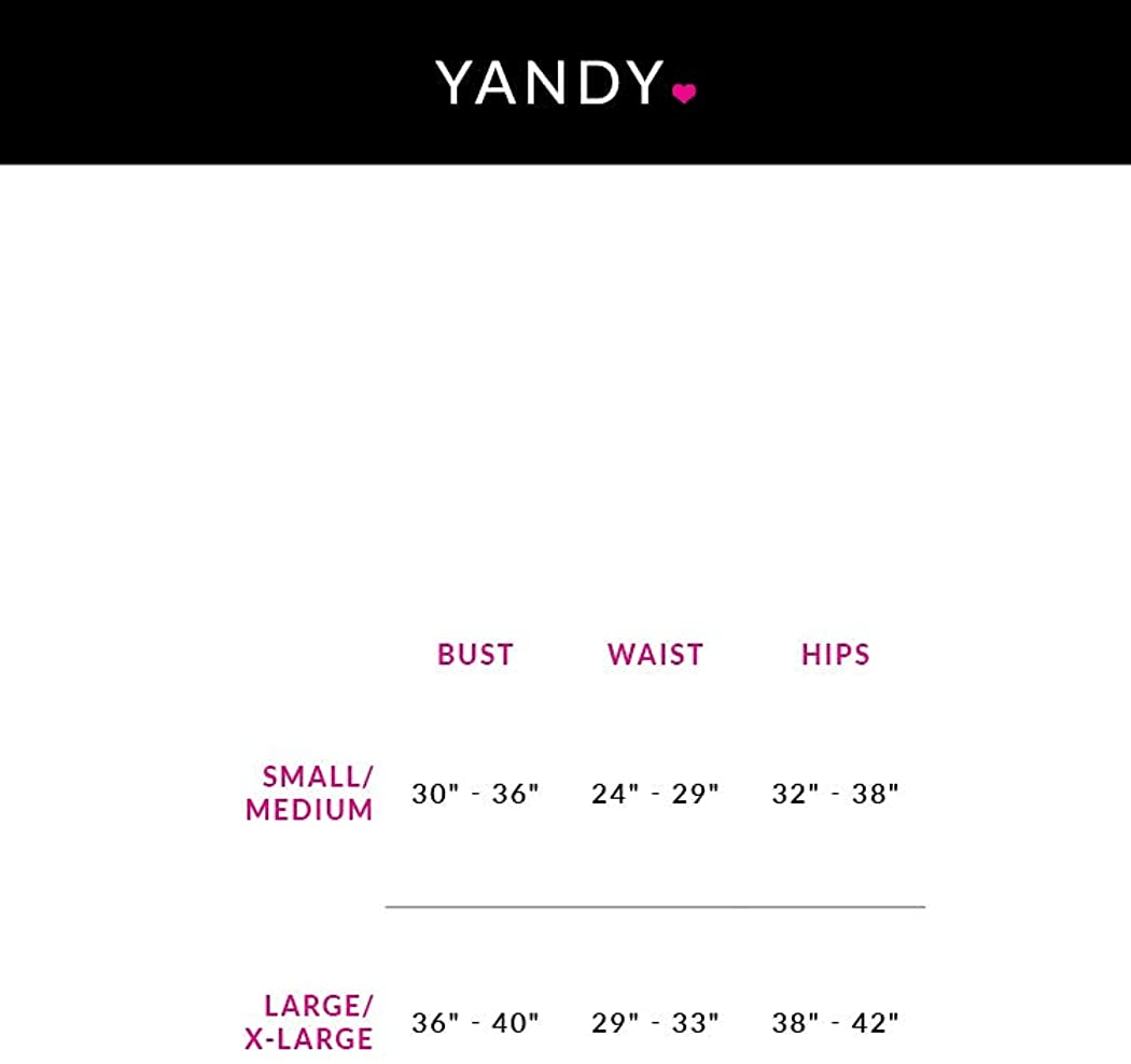 Yandy Premium Black Underwire Lingerie Set with High Waist Lace Garter Belt and a Sheer Crotch Thong Apparel & Accessories > Clothing > Underwear & Socks > Lingerie Yandy   
