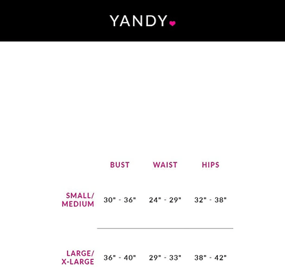 Yandy Premium Black Underwire Lingerie Set with High Waist Lace Garter Belt and a Sheer Crotch Thong Apparel & Accessories > Clothing > Underwear & Socks > Lingerie Yandy   