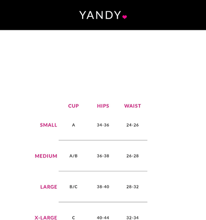 Yandy Premium Elegant Lingerie Set with Sheer Underwire Cups Removable Garter High Waist Cut & G-String Underwear Apparel & Accessories > Clothing > Underwear & Socks > Lingerie Yandy   